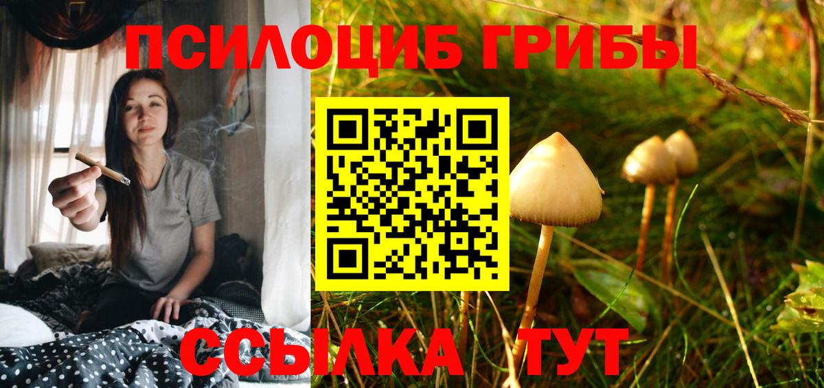 Псилоцибиновые грибы Cubensis Архангельск