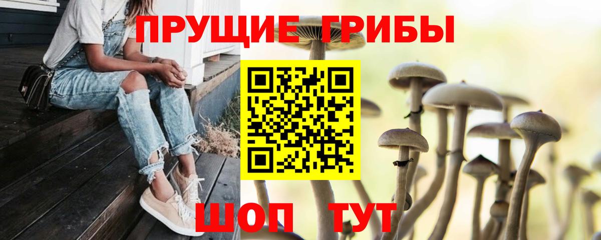 где можно купить наркотик  Вход с VPN  Архангельск  Псилоцибиновые грибы Magic Shrooms  Галлюциногенные грибы MAGIC MUSHROOMS 
